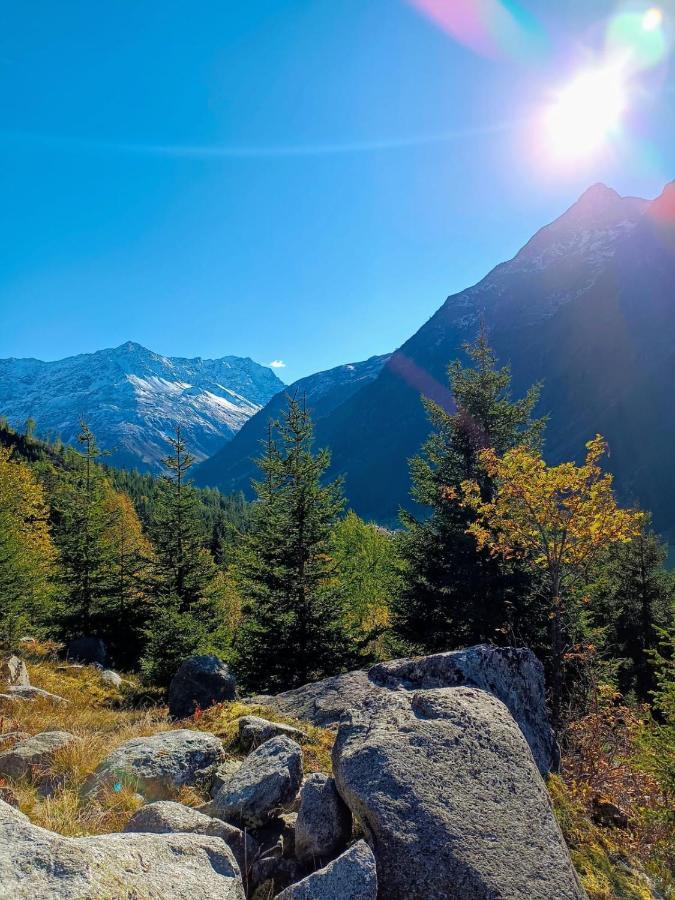 Haus Bergwind Appartement Sankt Leonhard im Pitztal Buitenkant foto